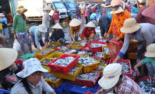 kham-pha-binh-minh-cang-ca-phan-thiet-binh-thuan-3